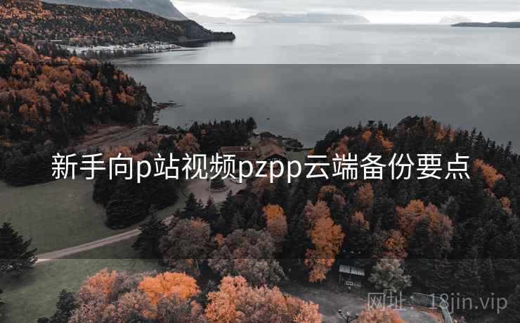 新手向p站视频pzpp云端备份要点